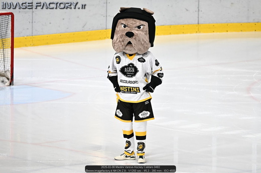 2025-02-08 Mastini Varese-Hockey Caldaro 0482